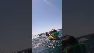 Swimmer Hit by Humpback Whale Tail [upl. by Packston944]