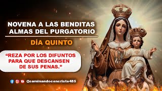 Novena a las benditas almas del purgatorio Día 5 2024 oraciónpoderosa almas [upl. by Trula]