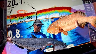 Outfished by the kids Catching Coral Trout 15 minutes from the ramp [upl. by Eninotna]