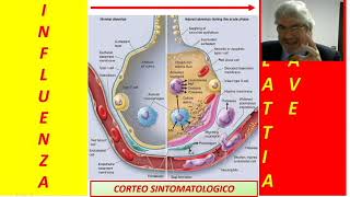 Malattia Covid 19 da Coronavirus Definizione Eziopatogenesi Bernardis [upl. by Emie336]