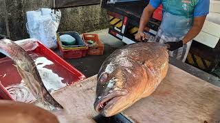 COMO SE LIMPAR UM PEIXE GRANDEESTE É O MAIOR PEIXE QUE EU JA LIMPEI 38KG limpeza semedição [upl. by Cohberg651]