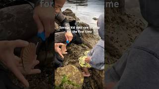 3yr old encounters 1st fresh caught raw scallops then… seafood dadlife freediver scallops [upl. by Julius]