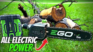 EGO Electric Pole saw TESTED Cutting Performance and InDepth Review [upl. by Refenej626]