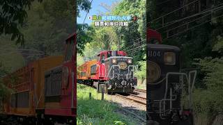 🇯🇵嵐山嵯峨野小火車🚂，購票和座位攻略✨！楓葉或櫻花季一定提早購票！！ [upl. by Chill437]