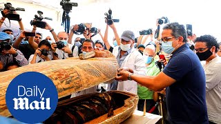 Ancient Egyptian tomb opened for first time in 2500 years [upl. by Napoleon]