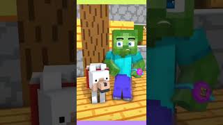 Villager vs pillager funny video [upl. by Joab]