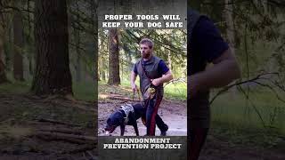 Tools are not only to keep your Dog Safe but to keep EVERYONE Safe [upl. by Arabelle]