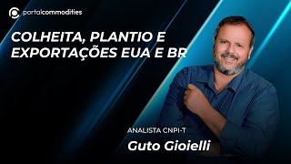 Colheita plantio exportações BR e EUA [upl. by Ennahtebazile238]