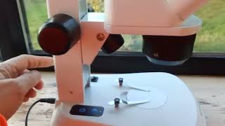 Looking at the stereo microscope for acarine testing [upl. by Eelyrag937]