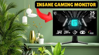 Insane Budget Gaming Monitor Review [upl. by Evered834]