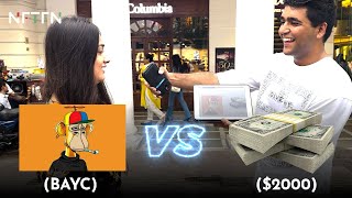 BAYC Bored Ape Yacht Club vs 2000 Cash  What Will The Public Choose [upl. by Scrogan]