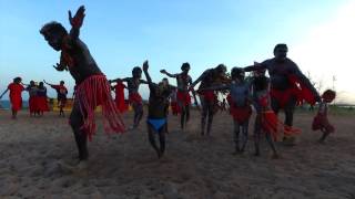 Aeroplane Dance  Nundhirribala Clan  Numburindi Festival 2016 [upl. by Kenlee932]