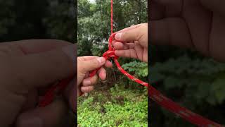 Wild Butterfly Knot bushcraft survivalskills camping outdoors [upl. by Eimak]