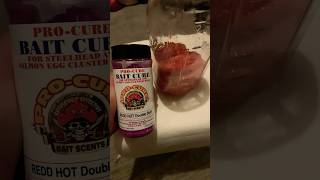 Curing salmon eggs with Redd Hot Double Stuff from Pro Cure Baits salmon fishing fishing fish [upl. by Melbourne]