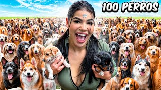 ADOPTÉ 100 PERROS en MI CASA [upl. by Ovida970]