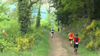 Trail de lAméthyste 2014  Vidéo de la course [upl. by Aloeda]