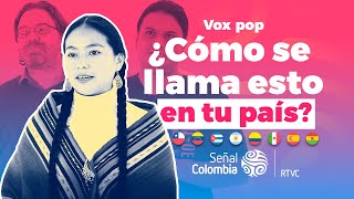 HISPANOHABLANTES discuten las diferencias del IDIOMA ESPAÑOL en cada país [upl. by Latsirc]