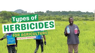 TYPES OF HERBICIDES IN AGRICULTURE Every Farmer should know Understanding the different herbicides [upl. by Courtenay]