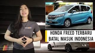 Honda Freed Terbaru Batal Masuk Indonesia Daihatsu Stop Produksi Xenia 1000cc [upl. by Yenwat]