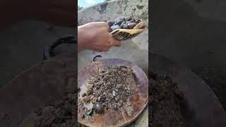 gold prospecting 2024 finding gold in sand gold prospecting for beginners [upl. by Garrik]