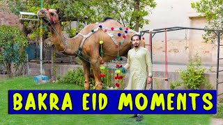 Bakra eid moments l Peshori vines [upl. by Am194]