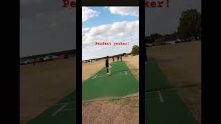 Yorked like TRENT BOLT cricket bowling goprobatting bowled cricket [upl. by Shere]