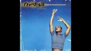 A Tear And A Smile  MeShell Ndegeocello [upl. by Hirai]