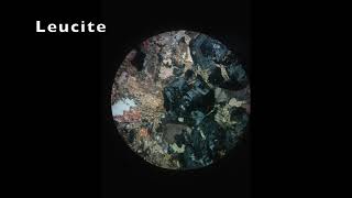 Leucite  Thin Section  Optical Mineralogy [upl. by Ingaborg]