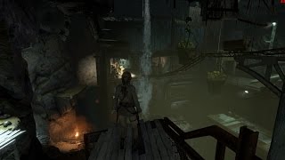 Rise of the tomb raider mine cart tomb excavation Shaft [upl. by Nabe]