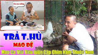 Cay Cú Vì Mao Đệ Cho Uống Rượu Giun Đất  Để Trả Thù Mao Ca Thủ Tiêu Luôn Cặp Chim Quý Của Mao Đệ [upl. by Isidore830]