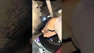 Oil change Maruti swift dzire shortsvideo mechanic youtubeshorts ytshorts trending short car [upl. by Asertal]