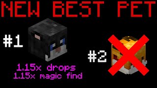 This Pet is SECRETLY OVERPOWERED Hypixel Skyblock Nerfed 1712024 [upl. by Daraj]