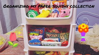 ORGANIZING MY PAPER SQUISHY COLLECTION  PART 1 papersquishy fyp [upl. by Thibaut]