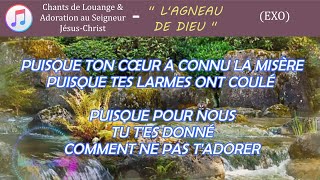 lagneau de Dieu  avec paroles en français  Exo [upl. by Dnomed]