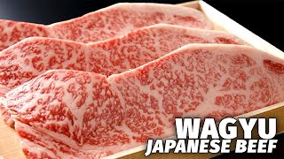 Japans Most Expensive Beef  Wagyu [upl. by Accebber539]