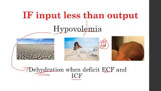 ما هي توزيعة السوائل في جسم الانسان body fluids distributions [upl. by Weaks]