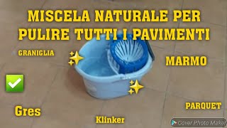 MISCELA NATURALE PER PULIRE TUTTI I PAVIMENTI✅️🔝pavimento cleaning cleaninghacks cleanwithme [upl. by Reilly376]