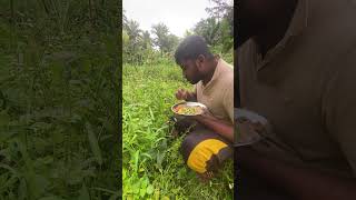 Man eat wild plants because he is so Poor wierdfood food asmr mukbang [upl. by Ennirak]