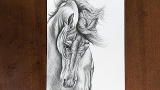 COME DISEGNARE UN CAVALLO REALISTICO IN BIANCO E NERO [upl. by Marinelli]