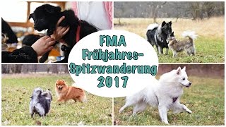 FMA FrühjahresSpitzwanderung 2017  Spitztreffen des VSNH  Plüschalarm [upl. by Saddler123]