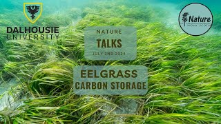 Nature Talks Community Eelgrass Restoration Initiative [upl. by Anu582]