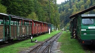 Bieszczadzka Forest Railway  Poland [upl. by Silvana]