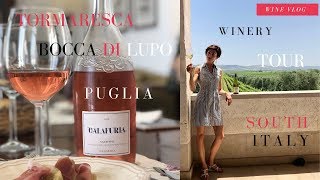 Tormaresca winery vlog a new quality standard for Puglias wines [upl. by Naig]