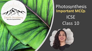 Photosynthesis  Important MCQs  ICSE Class 10 Term 1 exams [upl. by Atikim357]