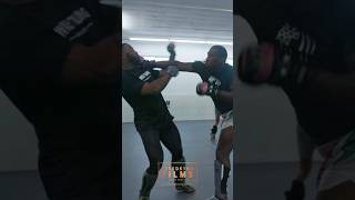 Technical MMA Sparring ftTRESEAN GORE boxing fightcamp sparring muaythai kickboxing bjj mma [upl. by Crooks]