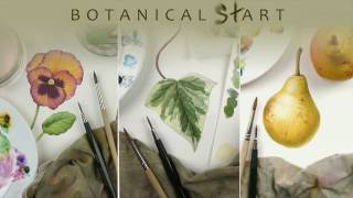 Watercolour techniques used for botanical art [upl. by Attenborough]