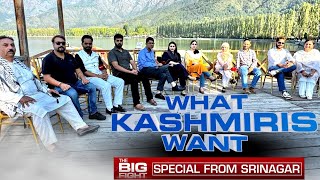 Kashmir Elections  Youth Artists Activists amp Pandits On Their Expectations From JampK Polls [upl. by Lyrad]