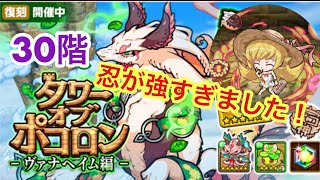 【ポコダン】ヴァナヘイム編−30階− セツナ、マーズなしで挑んでみた【タワーオブポコロン】 [upl. by Liman979]