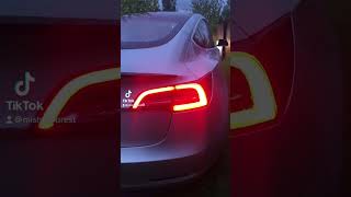 Tesla Model 3 Rear LED [upl. by Roach]