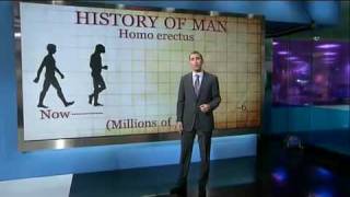 Oldest Known Hominin Ancestor [upl. by Sivam576]